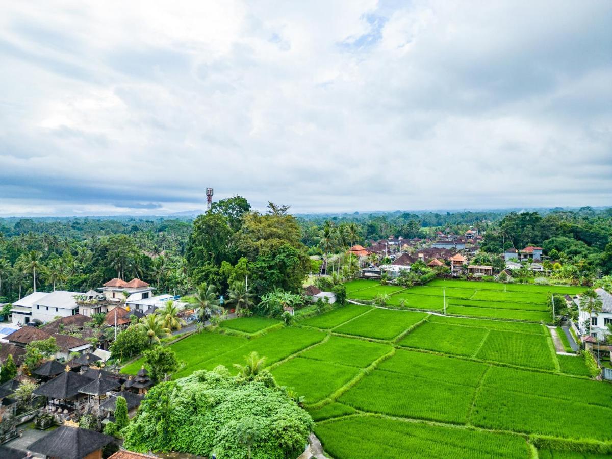Rumah By Evdekimi Ubud (Bali)